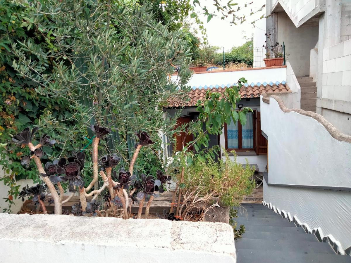 Casa Rustica Διαμέρισμα Dorgali Εξωτερικό φωτογραφία